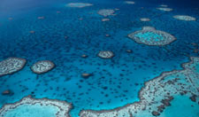 'Great Sea Reefs of Fiji' Photo Blog navigation Image