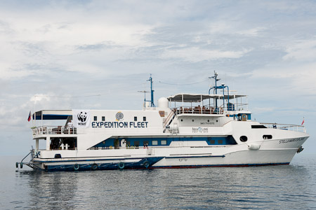 WWF Coral Triangle Expedition on the Expedition Fleet Stella Maris
