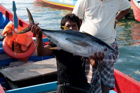 Mabul fisherman selling his tuna in Semporna