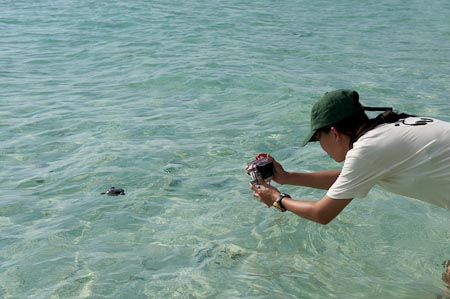Nina getting her last picture of baby green turtle 