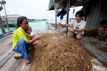 WWF staff marine biologist Nina Ho helps out with seaweed ends being readied for planting.