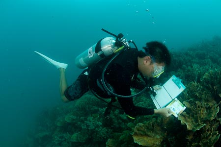 Irwan Mustapa, WWF marine biologist uses a CoralWatch Color Health Chart to check the state of the reef around Tigabu