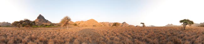 Padar Island. An grassland environment with lots of bushes that made the sounds of rain when rattled.