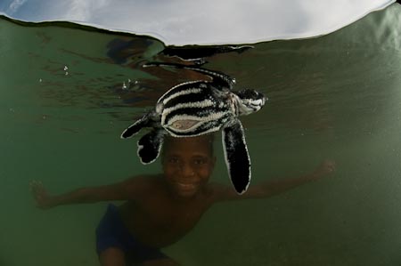 Titus with a baby leatherback turtle
