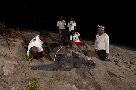Local Papuan villagers now volunteer patrolers getting trained to do turtle research