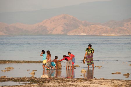 Kids and their mom gleaning the shallows at low tide