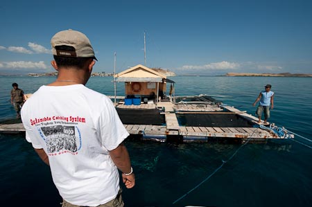 Mr. Burhan visiting Pulau Mas floating cage. His t-shirt says the fish caught here are cyanide free 