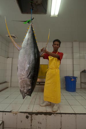 Yellowfin tuna about to enter the processing plant of Nutrindo Fresfood International