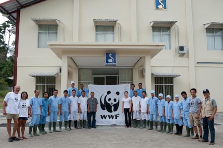 The Freund Factory along with observer Rudy and Hafizh of WWF pose for our WWF flag portrait with some of Chen Woo staff