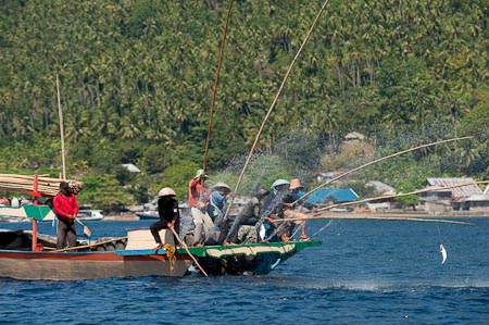 Funae fishermen in full action after finding skipjack tuna neaar Manado Tua