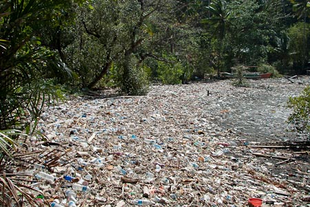 This bay just catches all thhe trash the wind and surface current brings from the neighboring kampungs or villages