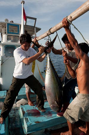 Hafizh helps lift the yellowfin tuna to see how big it is