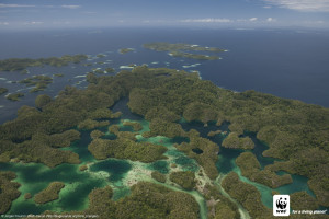 Raja Ampat view, Papua, Indonesia