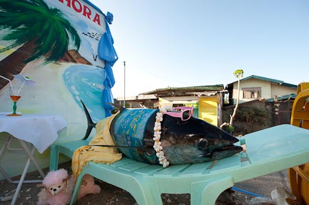 The floats are just too funny. Here's a tuna with shades and beach wear getting a summer tan