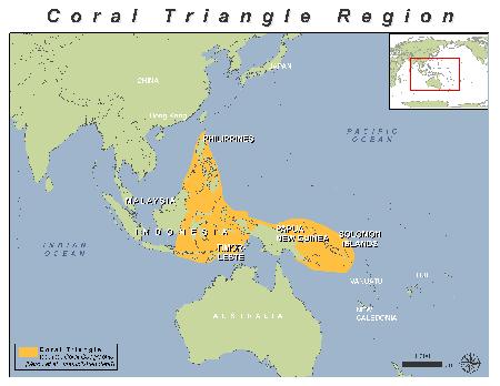 coraltriangle_basemap_1