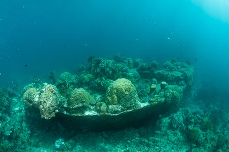 Big porites or hard stone corals grow on this newly found ship wreck. From a rough estimate by just looking at the hard corals, this wreck may be more than 50 years old