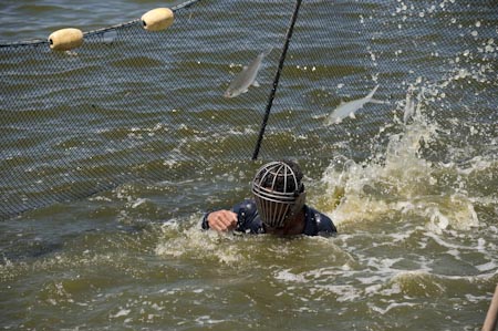 This courageous man with a groin and face guard made of stainless steel brings together the net to take out the fish from the pond