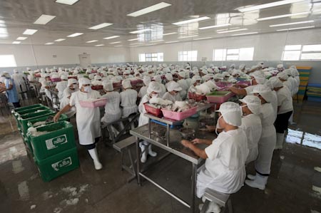 A massive workforce of expert deboners, this plant churns out products that goes out 60% export to mainly the Filipino communities living in North America. 40% are consumed locally