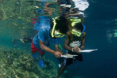 The students write down in their waterproof slates the corals and fish life they have just seen