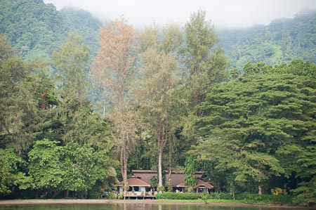 Walindi Plantation Dive Resort sits smack inside a rainforest!