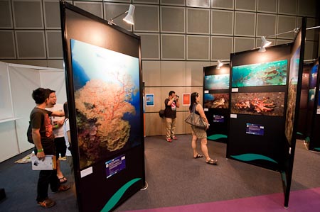 And a Conservation Gallery displayed a collection of some of our expedition photographs of our Coral Triangle journey so far