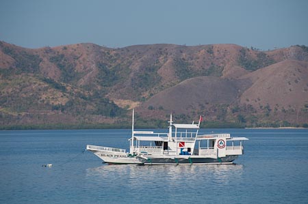 Dugong Dive Center's quaint liveaboard and dive boat the Black Pearl takes dive guests on two to three night safaris to Apo Reef