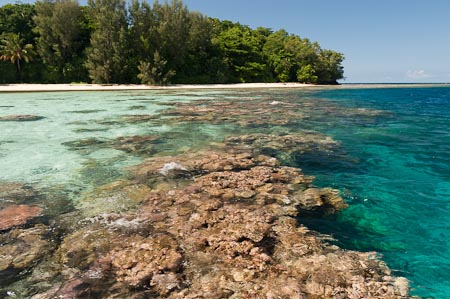 At low tide, the incredibly healthy coral reefs of Anun Island, Mbuke 