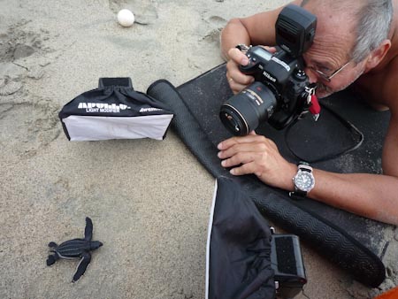 In West Papua we were so privileged to witness the nesting and hatching of very, very rare Leatherback Turtles. Perfect place to use my wireless flash control.....