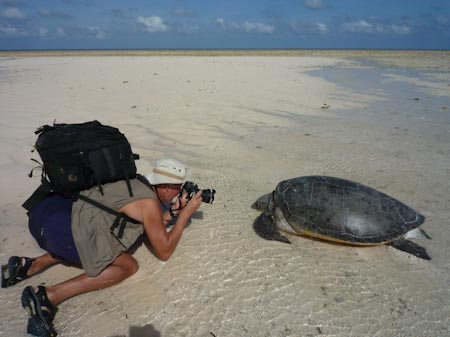 All topside gear was packed in this Mountainsmith "Parallax" backpack. Well, it weighed about a ton. This was taken on Moromahu Island, Wakatobi, Indonesia where a mother green turtle struggled back to sea in the heat of the day. 