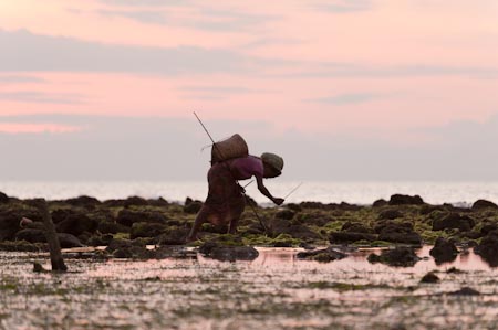 With two steel rods and a basket, this woman picked and prodded the coral rocks until she got what she wanted. This went on for hours until it was too dark to see