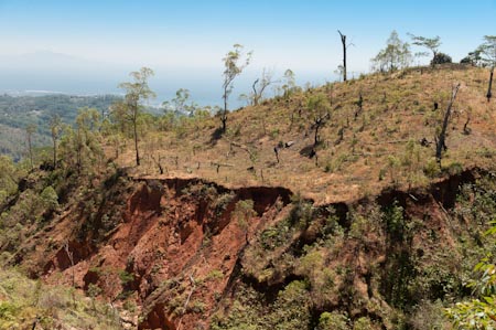 High up in the East Timor mountains passing road curve upon road curve, this landslide image is a common scene