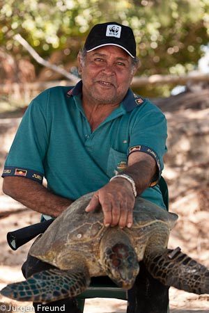 Traditional Owner and Gudjuda Elder Jim Gaston expertly holds a green turtle. He was one of the original instigators of turtle rodeo for conservation measures.