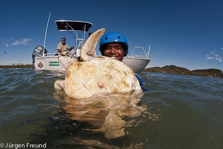 Chris Muriata, Indgenous Ranger from Girringun, Cardwell with his newly caught green turtle  by "turtle rodeo".