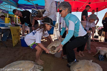 Dr. Ellen Ariel, marine virologist from JCU along with her Bowen volunteer 9yr old Yadi Dodd pick up a green turtle to gather scientific data from it.