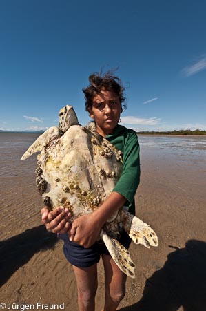 Lacy Hansen daughter of a Girringun Indigenous ranger from Cardwell carries a green turtle to shore.