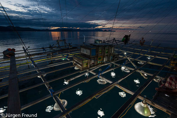 At night these nets are lowered to some 15 m or so and strong electric lights are switched on to attract anchovies and scads.
