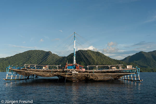 Bagans are large stationary anchored ourigger boats that have a net spanning from outrigger to outrigger.