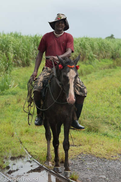 This Fijian sugar cane farmer is on his way to work on horseback in the rain.