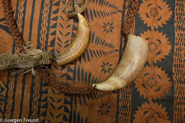 Masi cloth with sperm whale tooth necklaces. A young man traditionally presents the father of the bride with a wale's tooth as  a gift: showing his status and financial stature. 