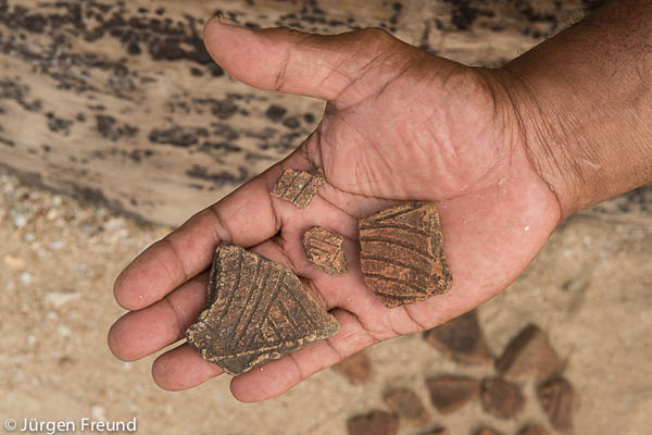 Tui Mali Ratu Apenisa Bogiso shows Lapita pottery found and dug out from his backyard. Lapita pottery dating back 1100BC has been discovered here by archeologists from Simon Fraser University Canada.