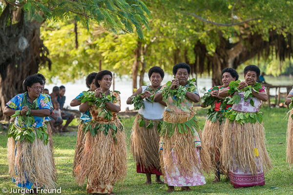 The traditional Fijian communal dance is called a 'meke' combines dancing, singing, chanting, clapping and drum beating.