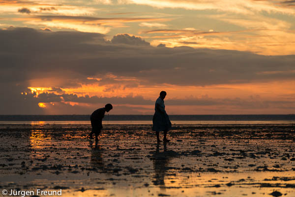 Gleaning and looking for bivalves at lowtide as the sun sets along the coast of Kavewa Island.