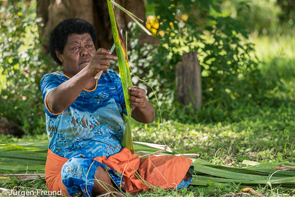 Mereia prepares freshly harvested pandanus leaves to dry and later for mat weaving.