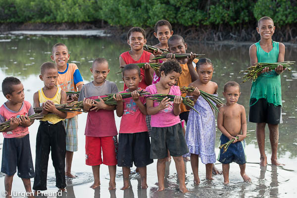 Children of Kavewa Island start a mangrove planting activity with freshly picked mangrove propagules.