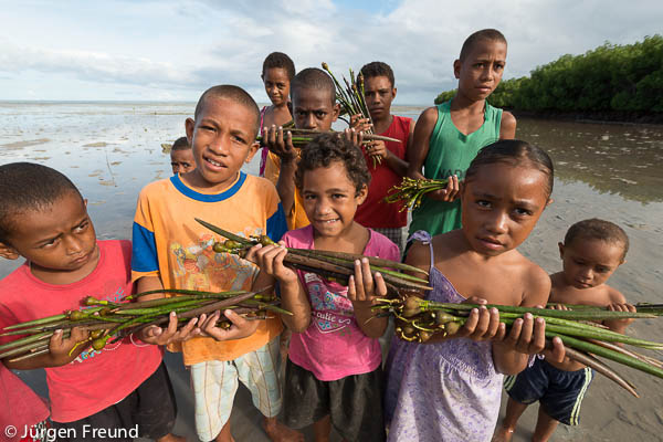 Another picture of the kids holding mangrove seedlings just because they're so cute!