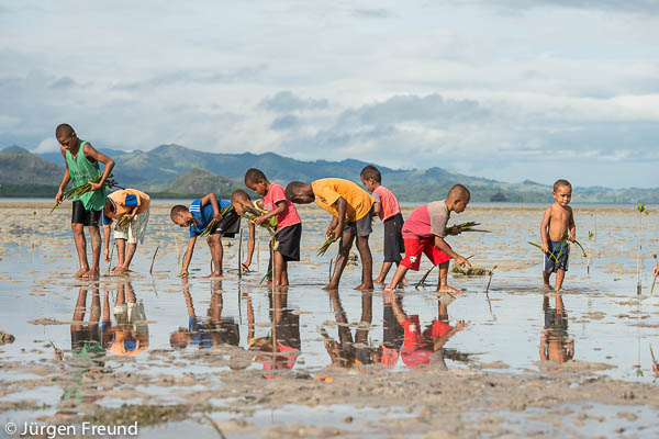 Like soldiers on a mission, children of Kavewa lined up the barren coast and started planting.