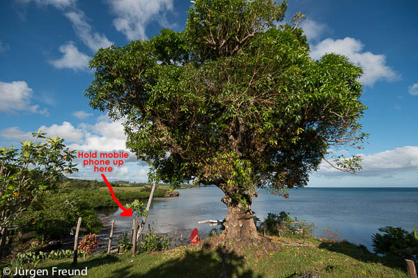 The mango tree by the sea. Only in this point can the village folks receive mobile signal to communicate with the outside world.