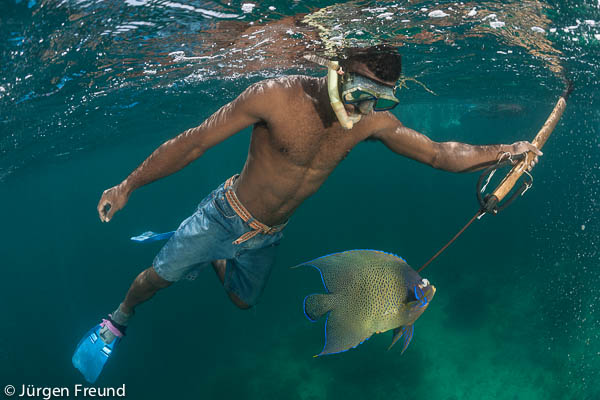 A freshly caught blue angelfish. For snorkelers and divers, angelfishes are the ornamental fishes of the reef. For fishermen like him, they are food fish for sustenance. 