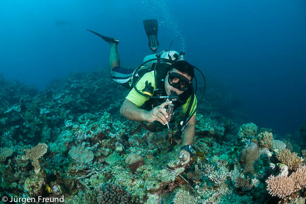 Laisiasa Cavakiqali of the University of South Pacific retrieving a data logger near Kia Island that has a year's worth of temperature information of the Great Sea Reefs.