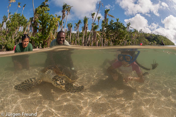 Valuable observations underwater as Irris swims along with the turtle's release.